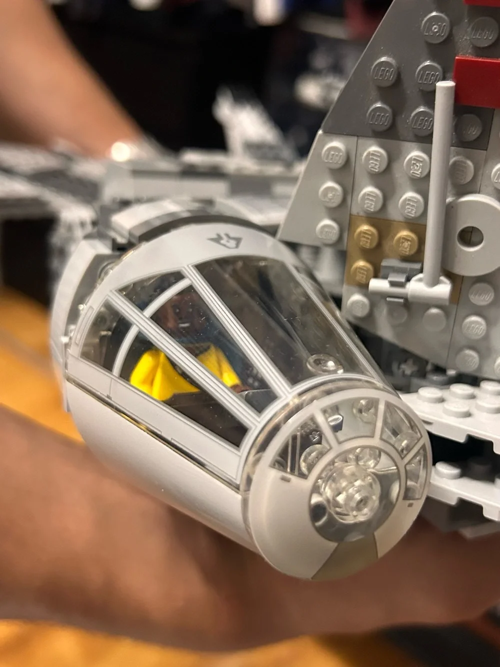 Gray millennial falcon - Picture 5 of 7
